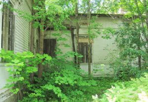 kohdetannisenkauppakuva3_orig